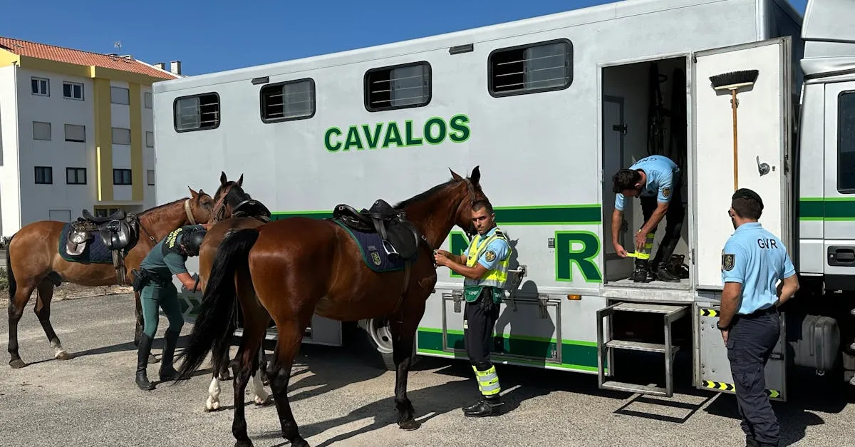 GNR à la pompe : comment payer moins et éviter les pièges